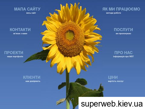 wst.com.ua wst.com.ua